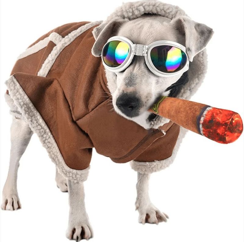 Pet Cigar Plush Toy