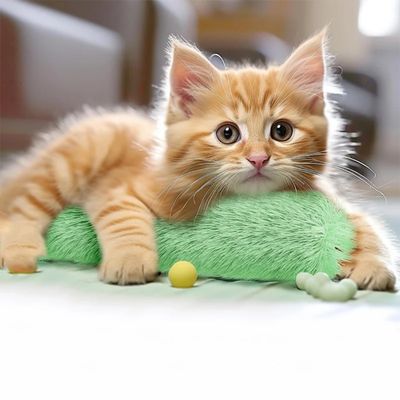 Cat Nip Fluffy Toy ( Green)