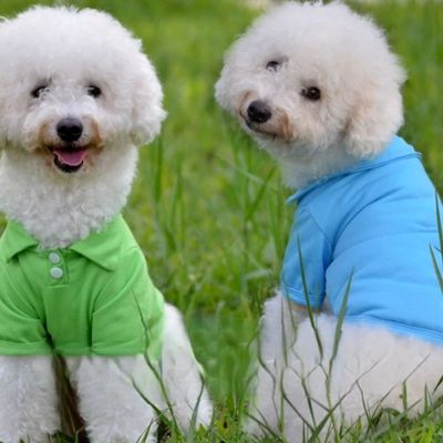 Casual-Chic Golf Styling Pet Shirt (Blue)