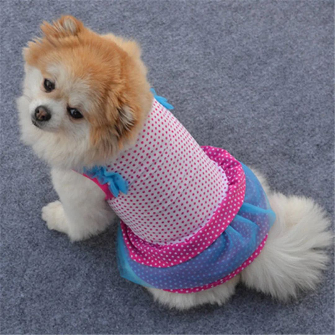 Pet Dress Pet Dress