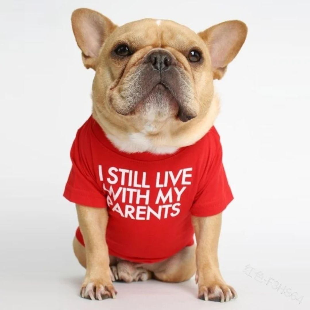 Cuteness Pet Shirt Cuteness Pet Shirt