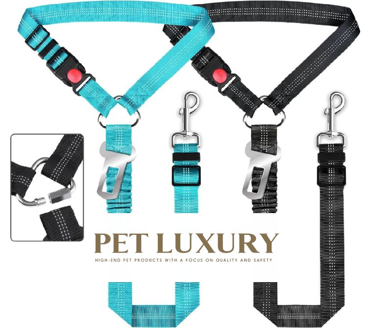 The PetPro 4 in 1™ harnesses, leashes, collar and Car Restraint (Aque Blue)