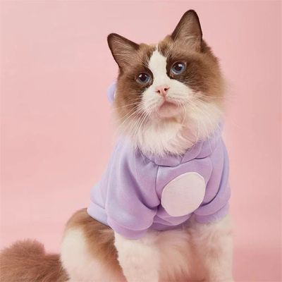 FOGGY Cat Shirt Jersey Hoodie