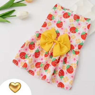 Strawberry FURRY PAWS Pet Dress