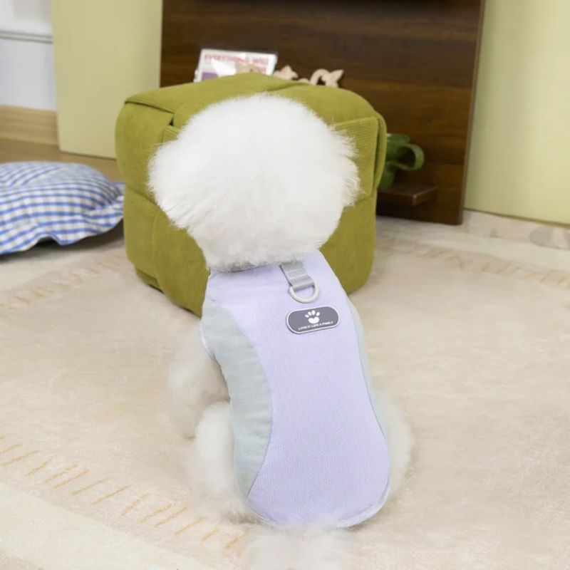 Pastel Luxury Pet Shir With Harness Hold