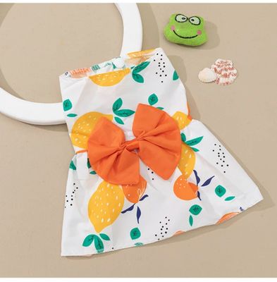 Hallo Summer Pet Dress