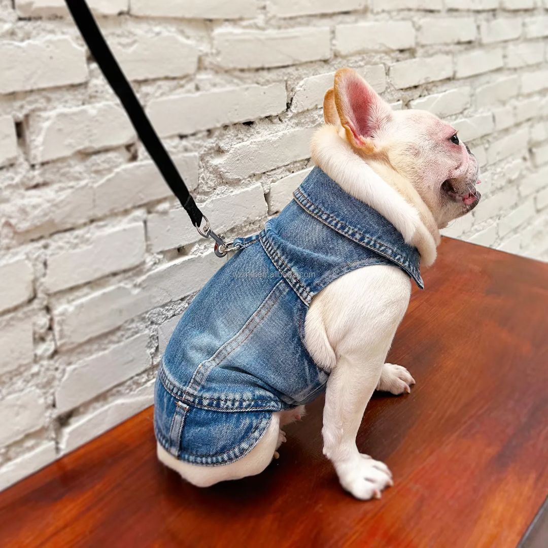 Designer Jean Pet Jacket With Leach Clip