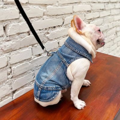 Designer Jean Pet Jacket With Leach Clip