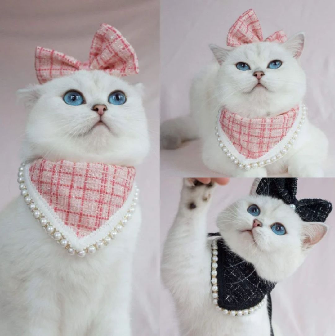 Cat Luxury Accessories Set ( Pink)