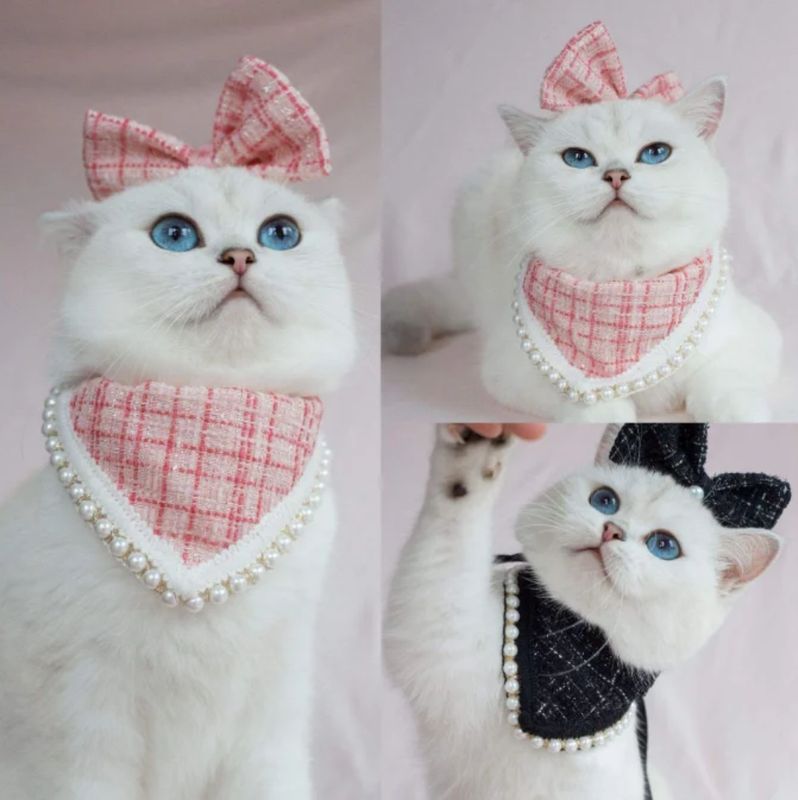 Cat Luxury Accessories Set ( Pink)