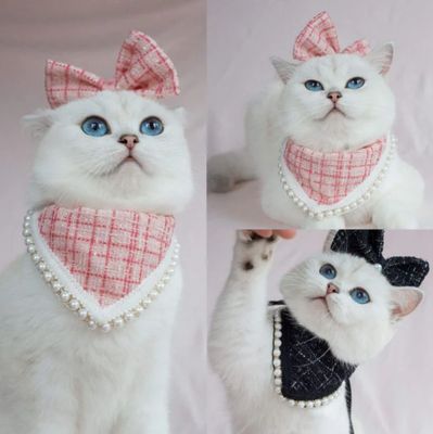 Cat Luxury Accessories Set ( Pink)