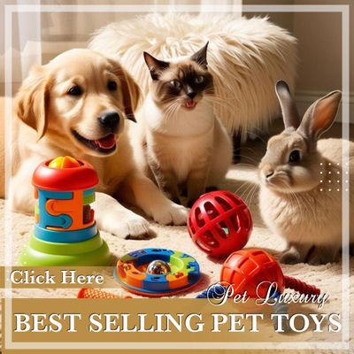Best Selling Pet Toys