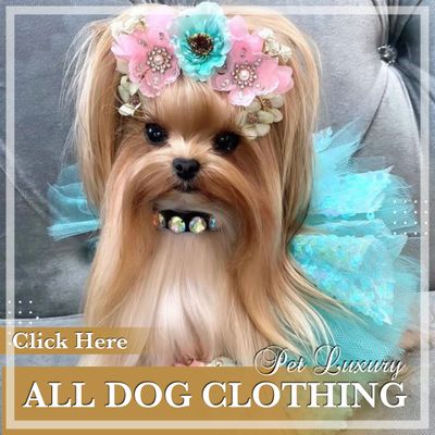 All Dog Clothing