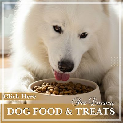 Dog Food And Treats