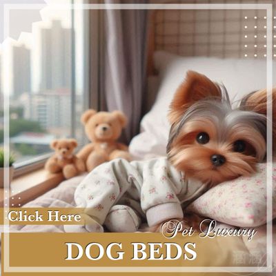 Dog Beds