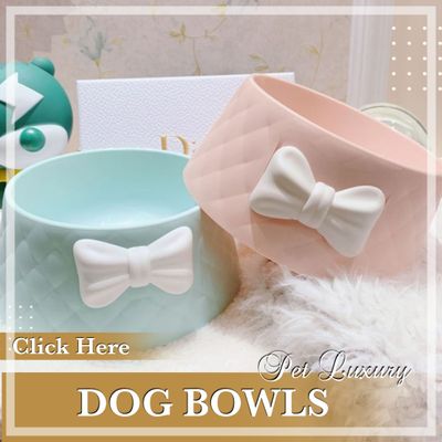 Dog Bowls