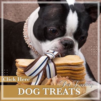 Doggie Treats