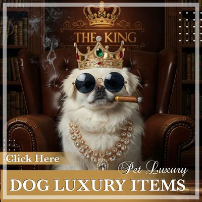 Dog Luxury Items