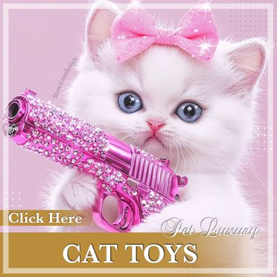 Cat Toys