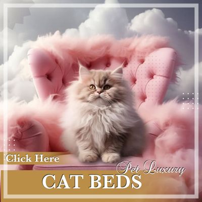 Cat Beds