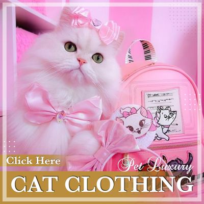 Cat Clothing