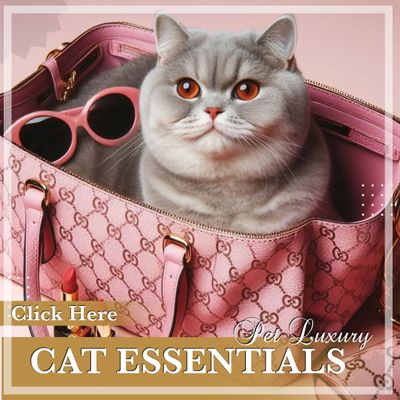 Cat Travel Essentials