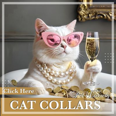 Cat Collars Leads And Harnesses