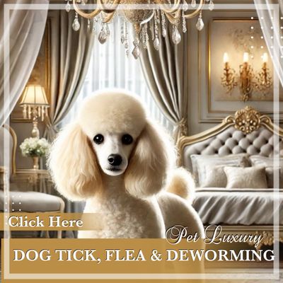 Dog Tick, Flea and Deworming