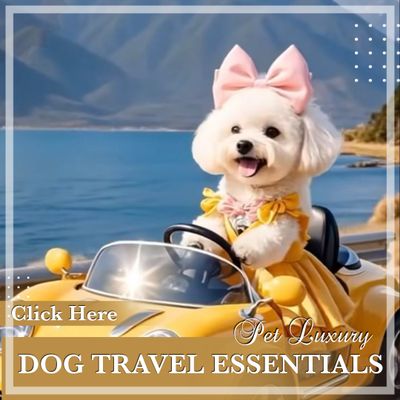 Dog Travel Essentials