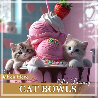 Cat Bowls
