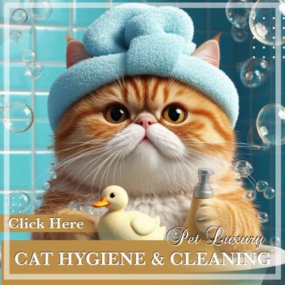 Cat Hygiene And Cleaning