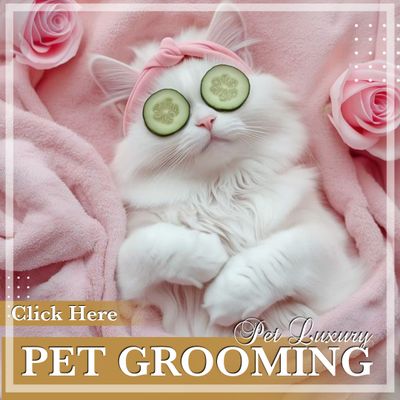 Pet Grooming