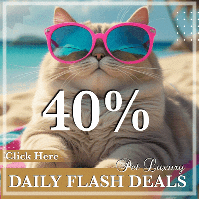 Daily Flash Sale