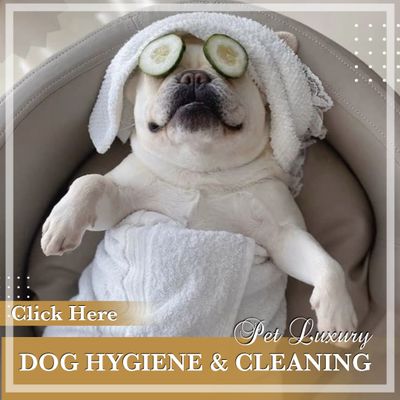 Dog Hygiene And Cleaning