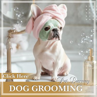 Dog Grooming