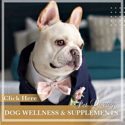 Dog Health And Wellness Supplements