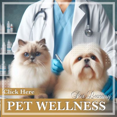 Cat Health Wellness Supplements