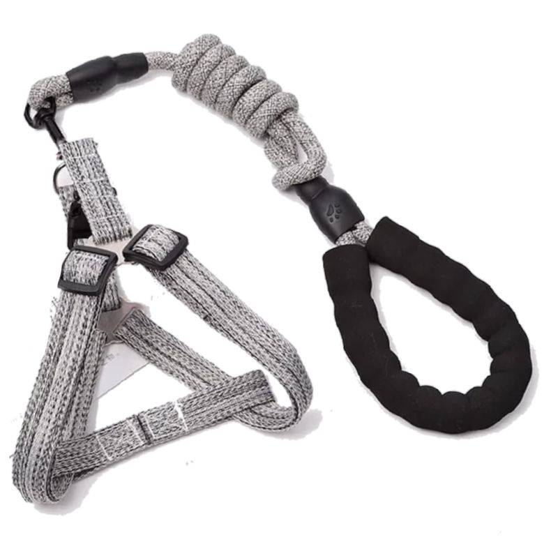 Zilver Paws Dog Leach And Harness