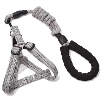 Zilver Paws Dog Leach And Harness