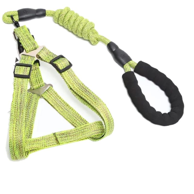 Zilver Paws Dog Leach And Harness-Green