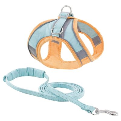 WalkZip Dog Leach And Harness (Orange)