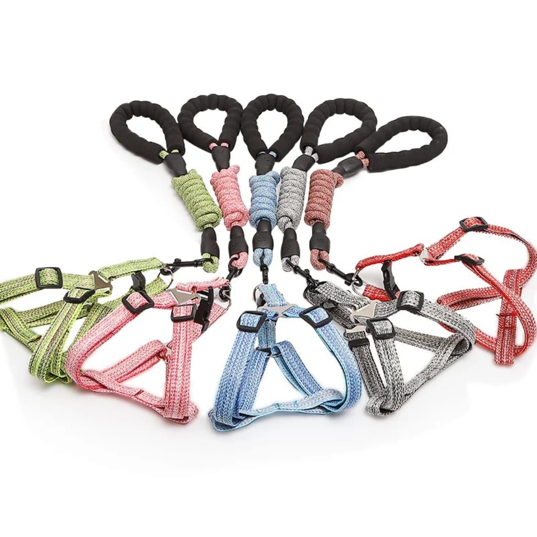 Zilver Paws Dog Leach And Harness ( Red)