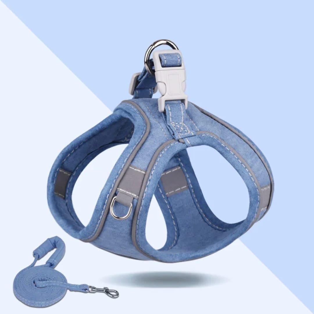 WalkZip Pet Harness Leach