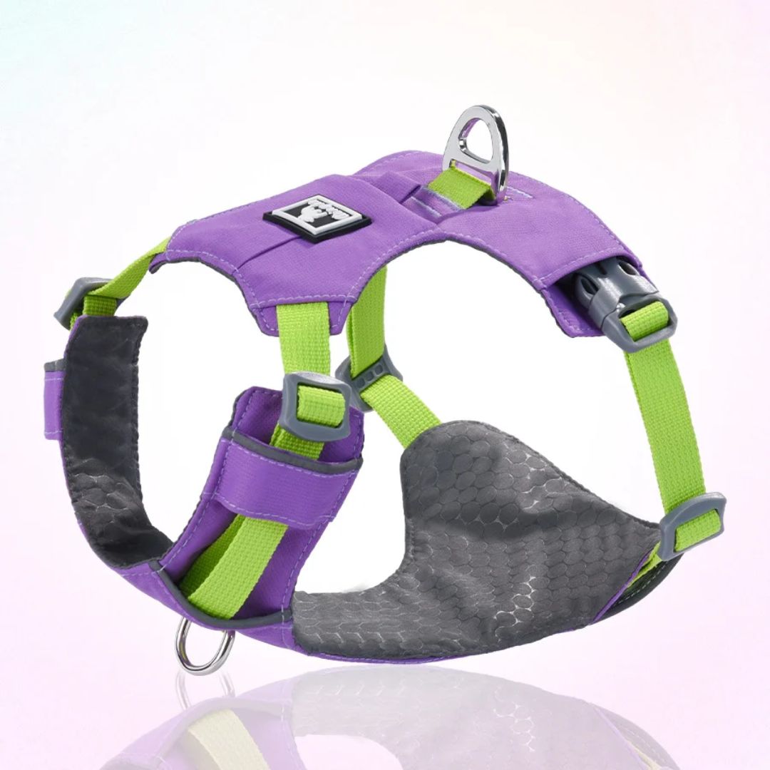 Adjustable Pet Luxury Chest Harness (Purple)