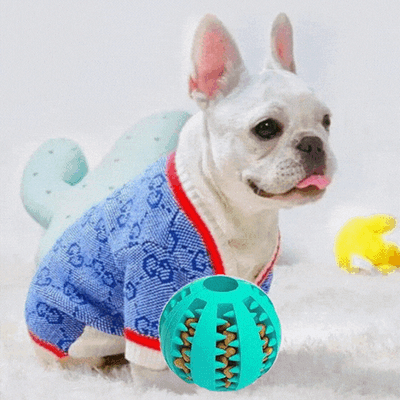 Coco Paw Enrichment Interactive Dog Toy Treat Ball