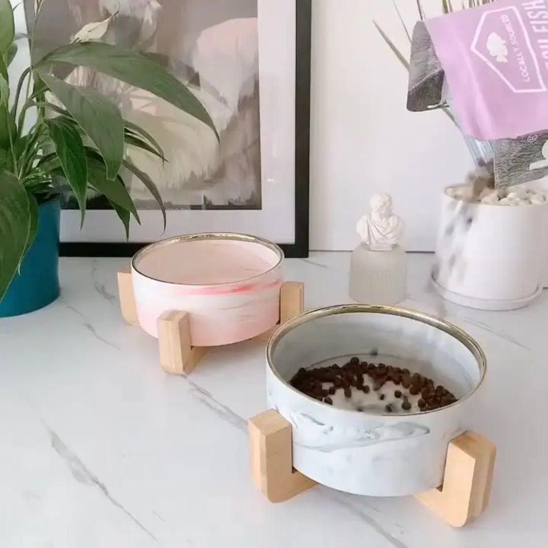 High Class Feeding Bowl