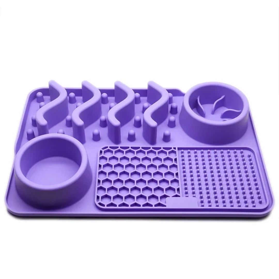 Multifunctional Pet Feeder (Purple)