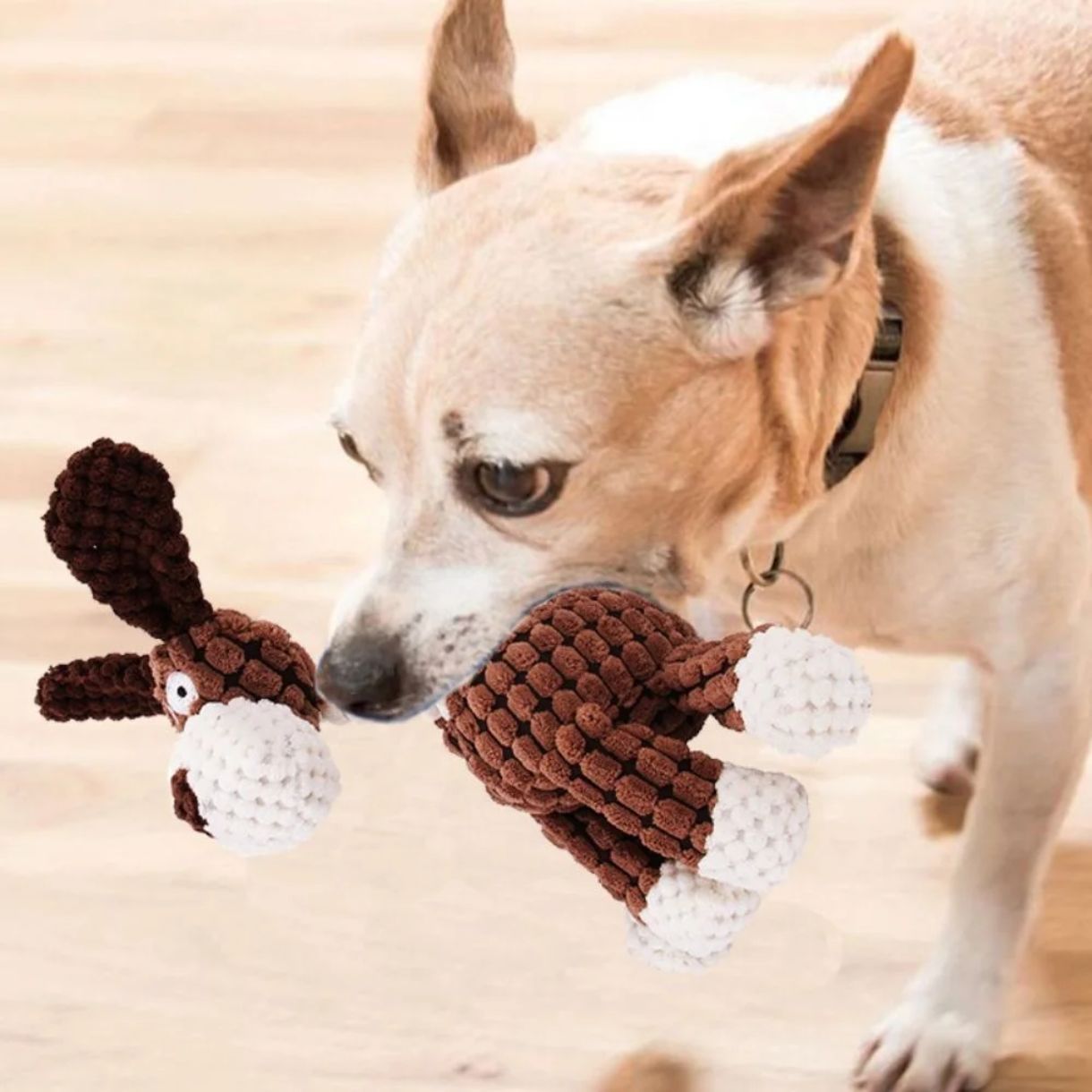 Donie DK Pet Toy Donie DK Pet Toy