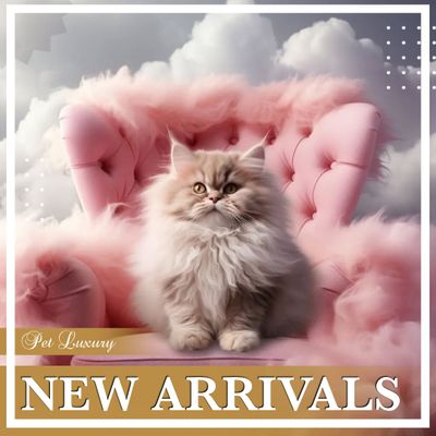 NEW PET LUXURY ARRIVALS