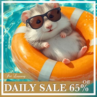 DAILY SALE 65% OFF